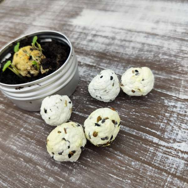 bombe carta piantabile semi aromatiche ecofattoart
